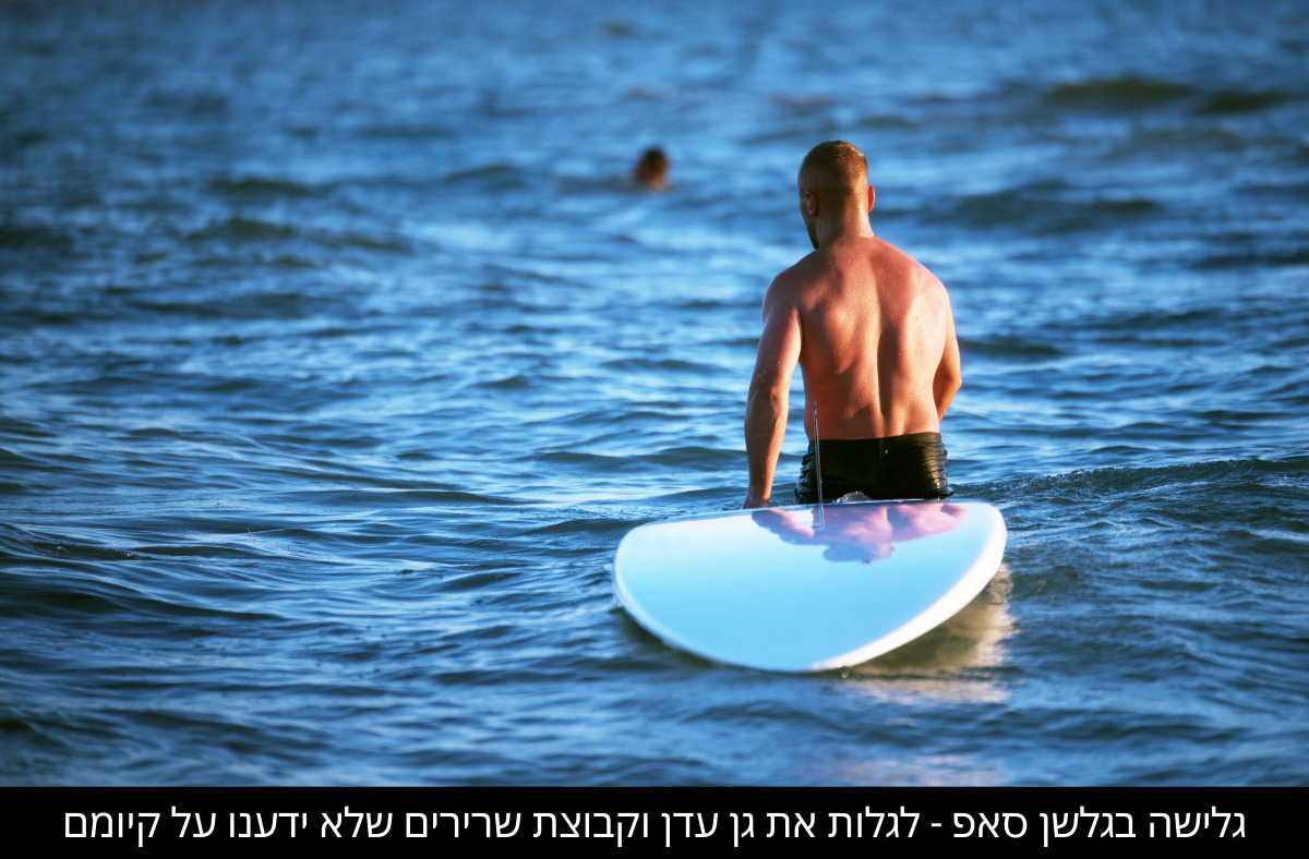גלישה בגלשן סאפ פיתוח שיווי משקל